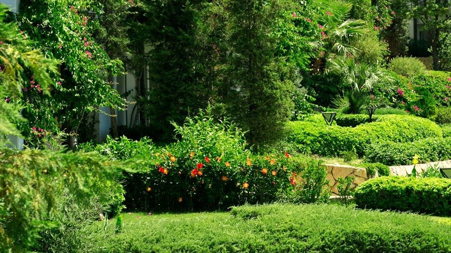 Outdoor Pictures 21
