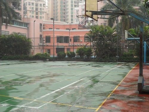 Outdoor Pictures 10