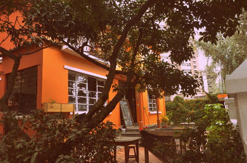 Outdoor Pictures 23