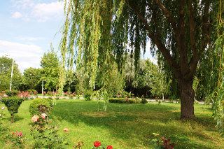 Outdoor Pictures 7