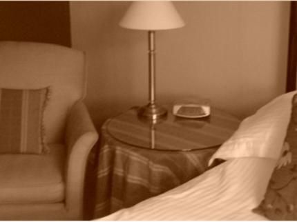 Falcon Hotel