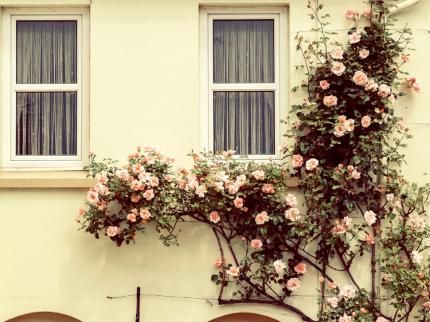 BAYVIEW GUEST HOUSE