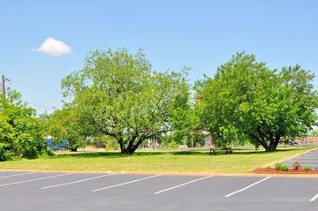 Outdoor Pictures 13