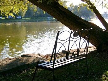 Outdoor Pictures 19