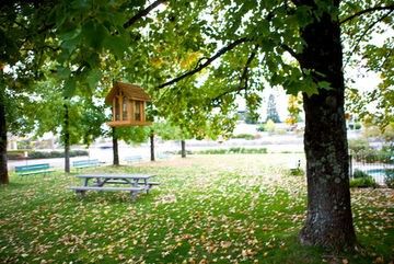 Outdoor Pictures 18