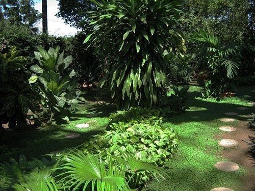 Outdoor Pictures 21