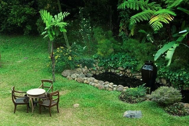 Outdoor Pictures 20