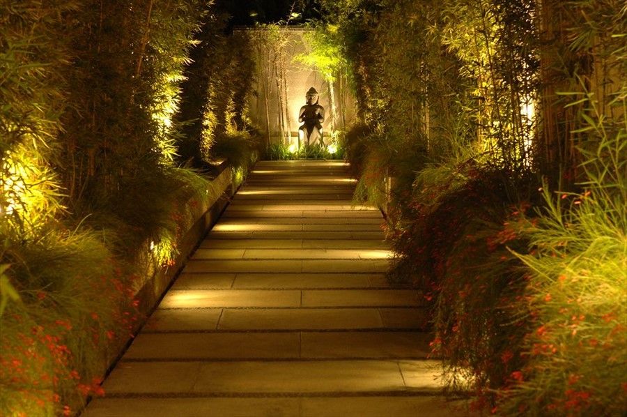 Outdoor Pictures 20