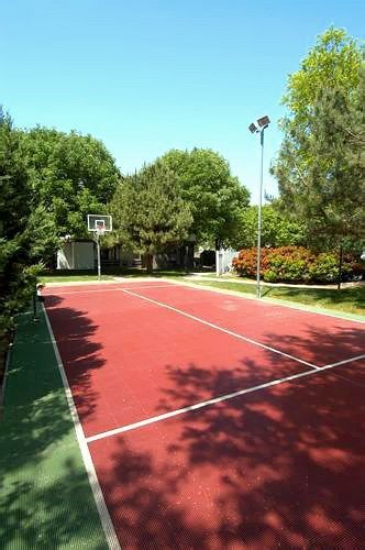 Outdoor Pictures 18