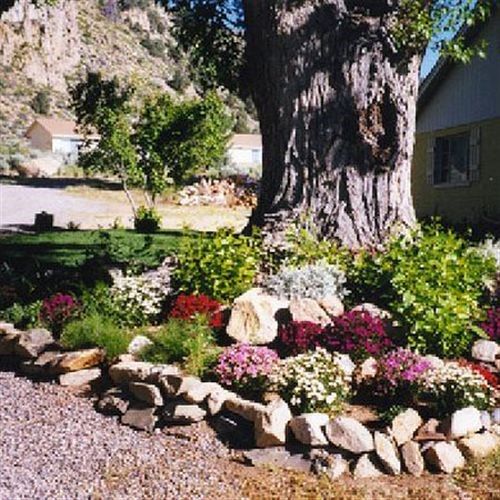 Outdoor Pictures 16