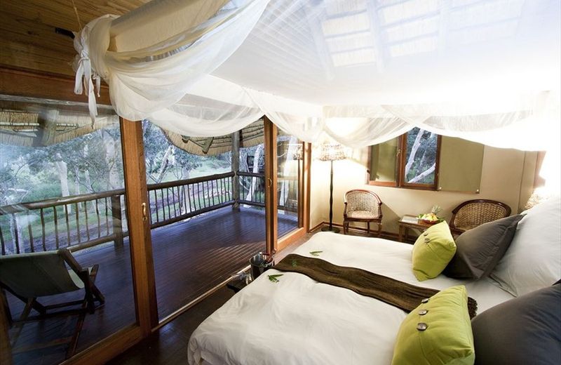 ZULULAND TREE LODGE