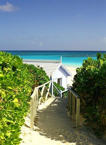 Outdoor Pictures 16