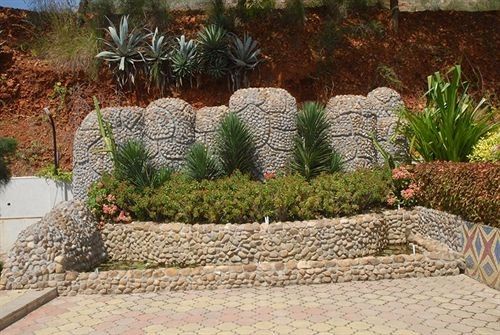 Outdoor Pictures 15