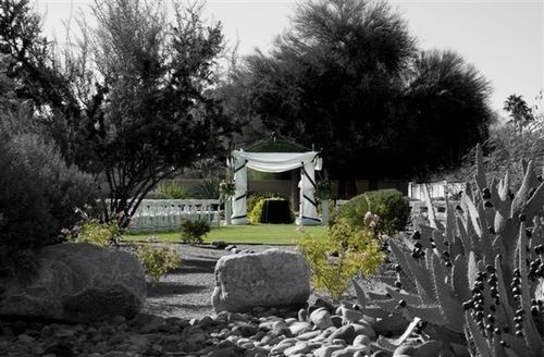 Outdoor Pictures 14