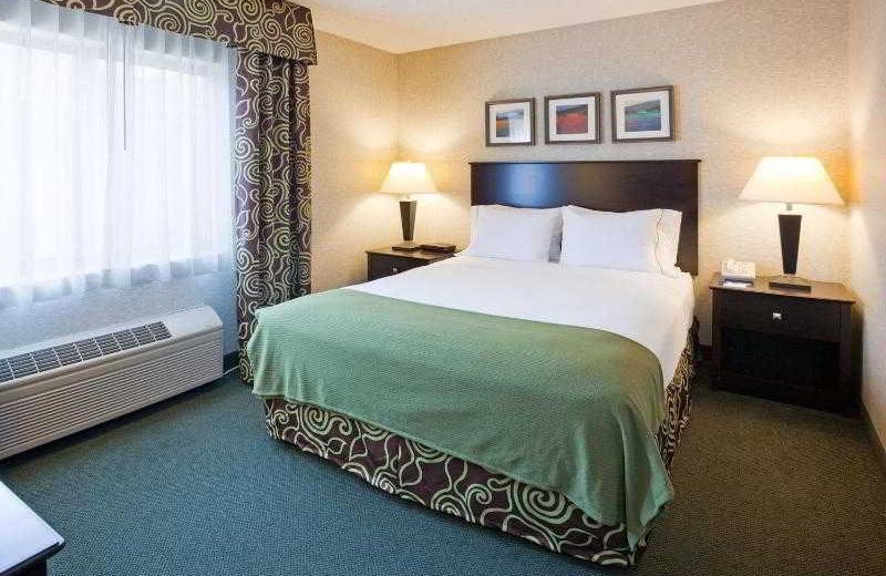 Holiday Inn Express Hotel & Suites Minneapolis-Downtown Convention Center, an IHG Hotel