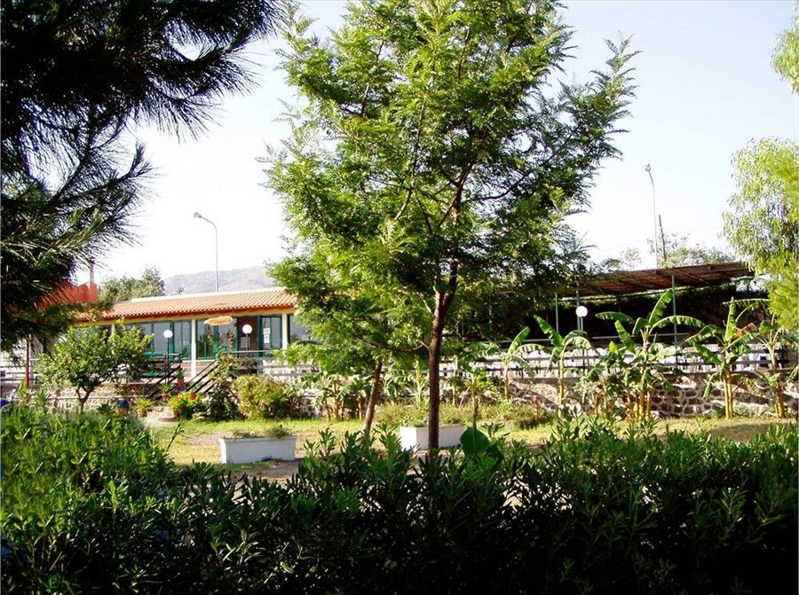 Outdoor Pictures 1