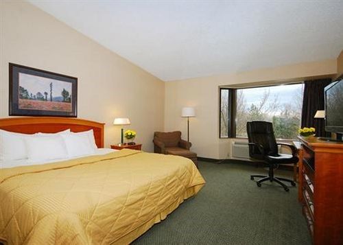 Comfort Inn Carrier Circle