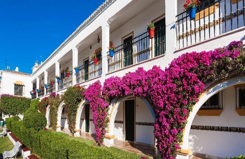 Globales Cortijo Blanco