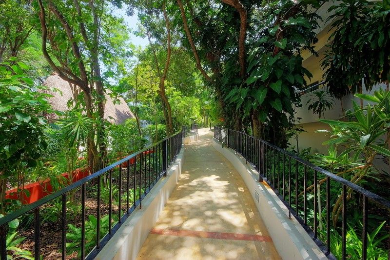 Outdoor Pictures 19