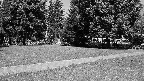 Outdoor Pictures 11