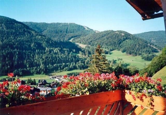 Outdoor Pictures 3