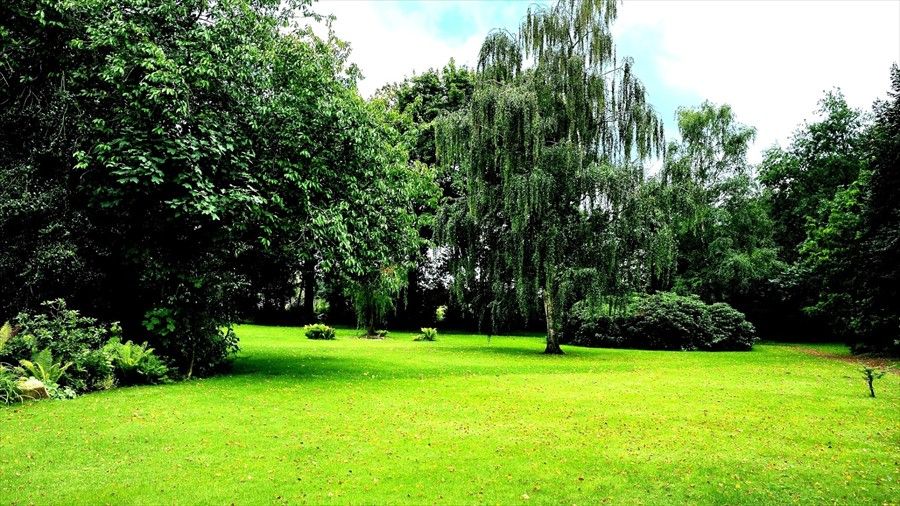 Outdoor Pictures 15