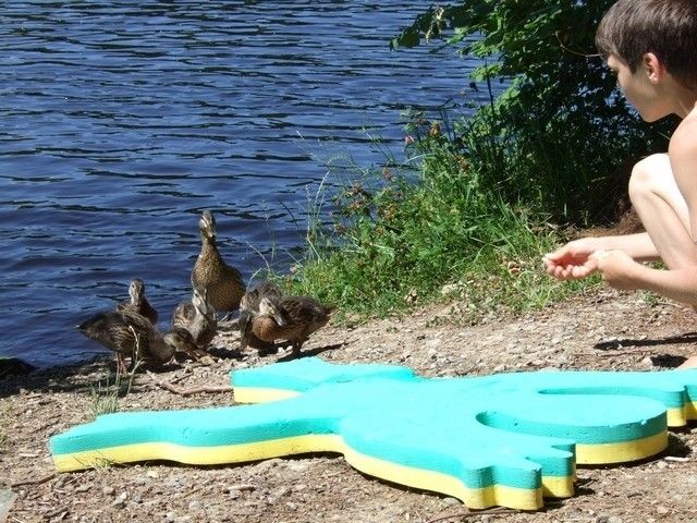 Outdoor Pictures 1
