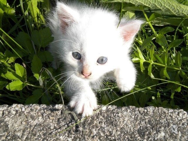 Outdoor Pictures 14