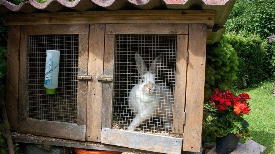 Outdoor Pictures 19