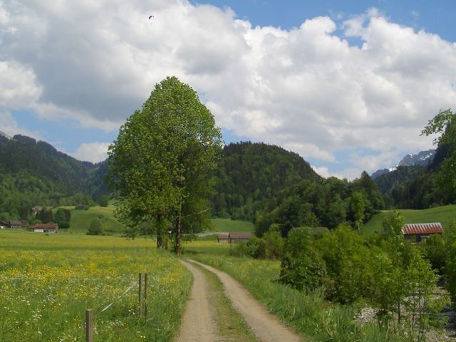 Outdoor Pictures 4