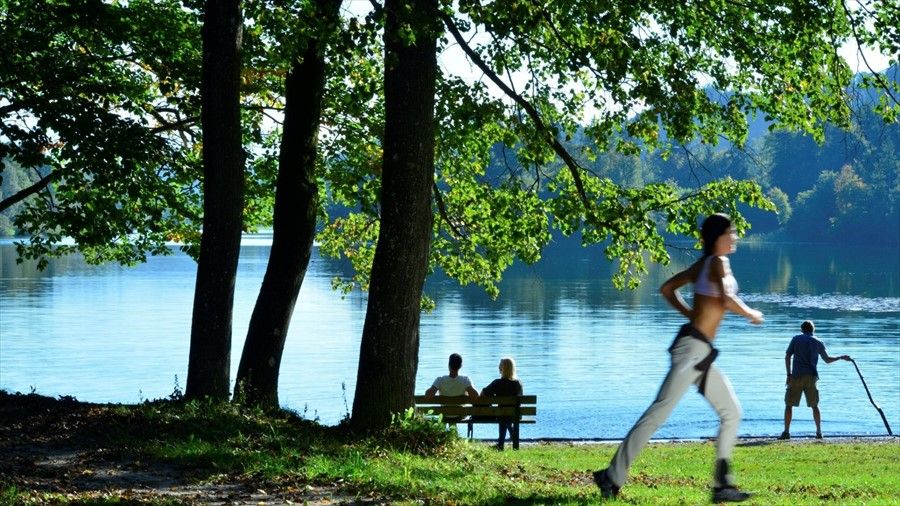 Outdoor Pictures 9
