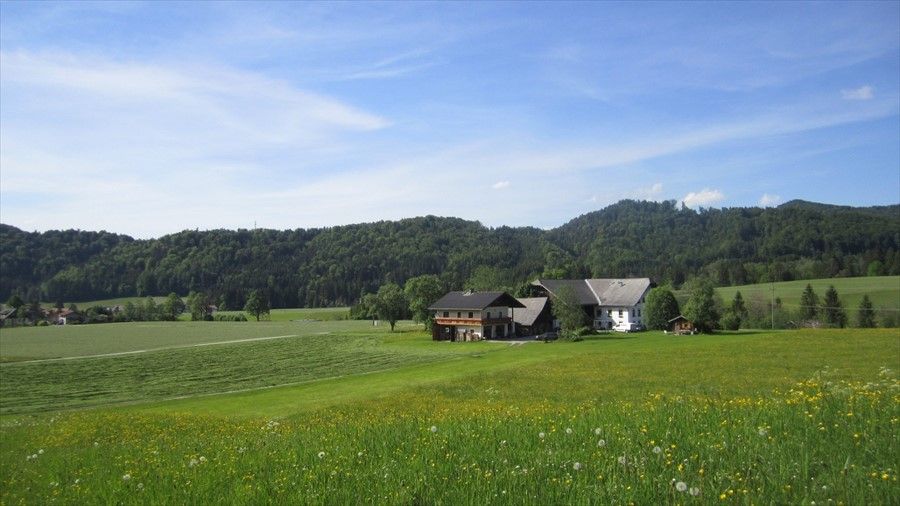 Outdoor Pictures 1