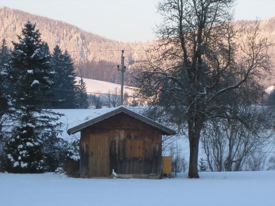 Outdoor Pictures 4