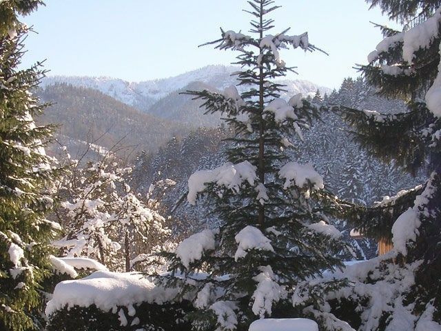 Outdoor Pictures 10