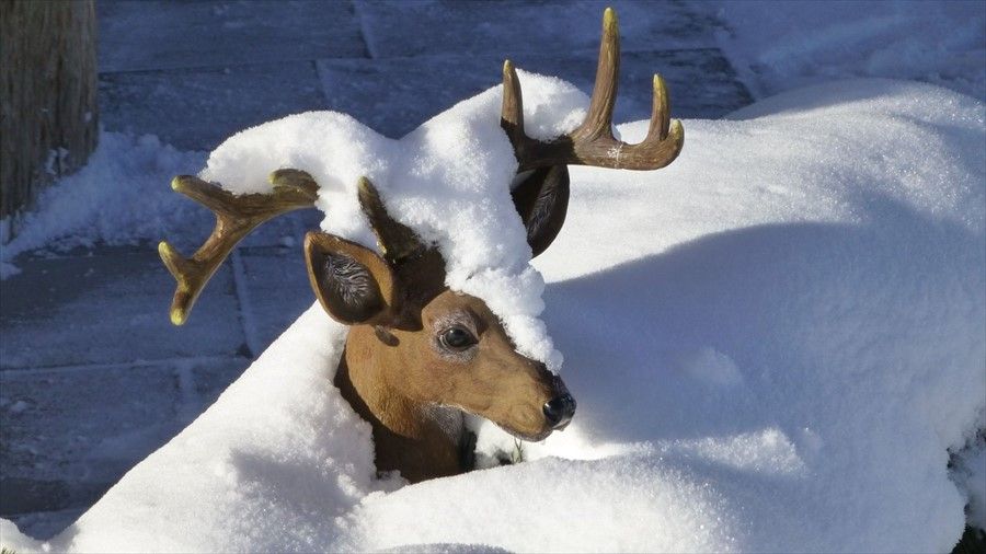 Outdoor Pictures 20
