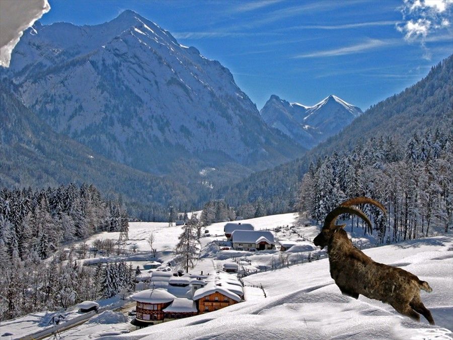 Outdoor Pictures 23