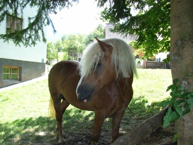 Outdoor Pictures 16