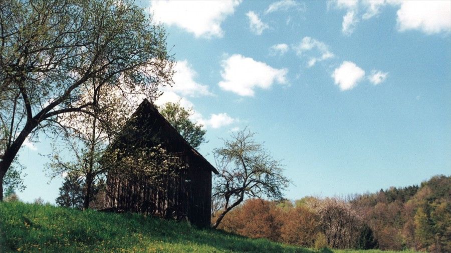 Outdoor Pictures 14