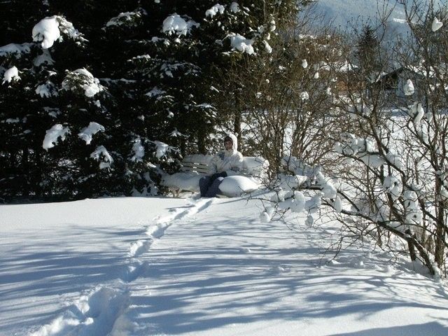 Outdoor Pictures 2