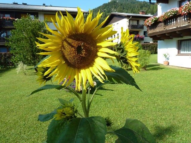 Outdoor Pictures 15