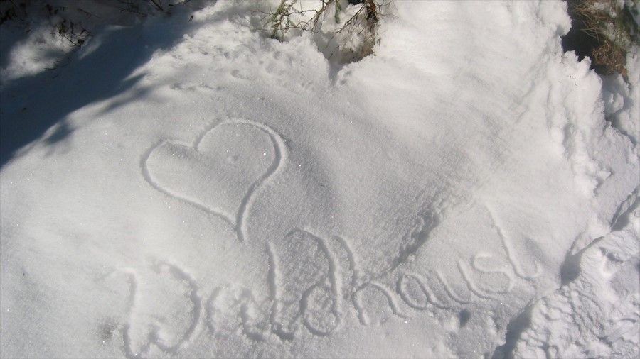 Outdoor Pictures 5