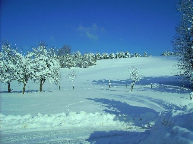 Outdoor Pictures 12