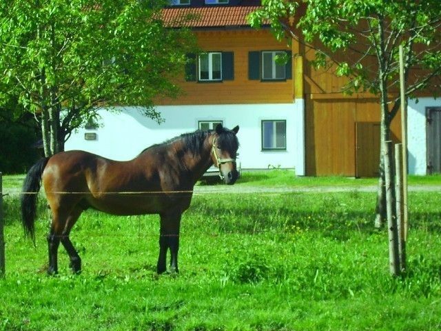 Outdoor Pictures 10