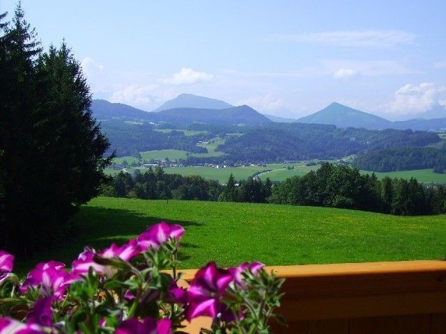 Outdoor Pictures 11