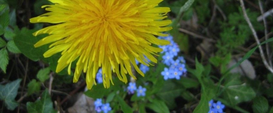Outdoor Pictures 5