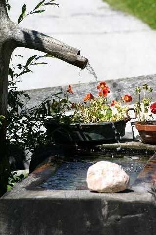 Outdoor Pictures 4