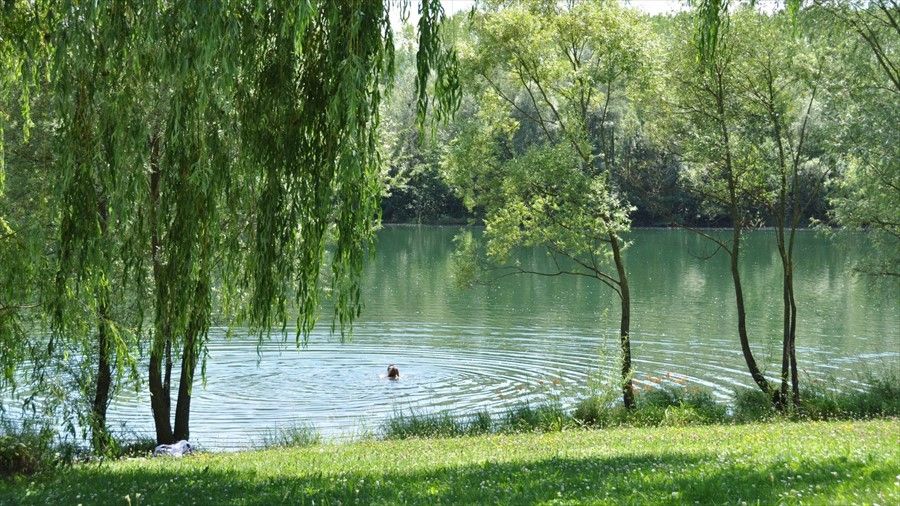 Outdoor Pictures 11