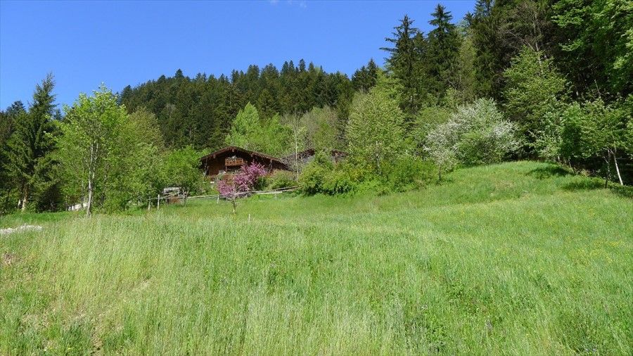 Outdoor Pictures 10