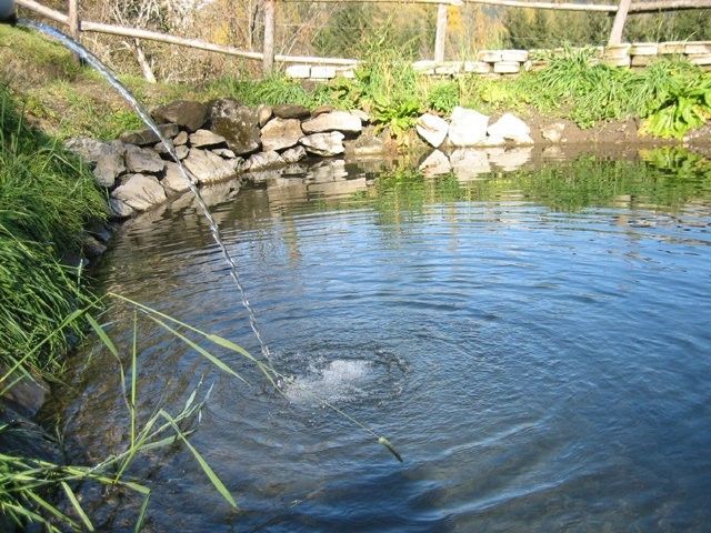 Outdoor Pictures 1
