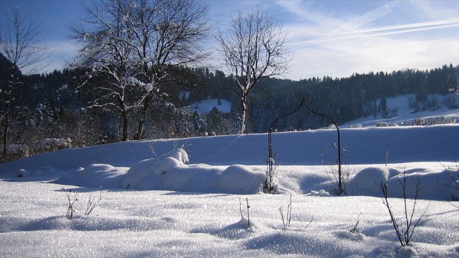 Outdoor Pictures 20